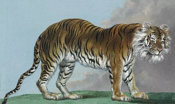 Darstellung eines gemalten Tigers