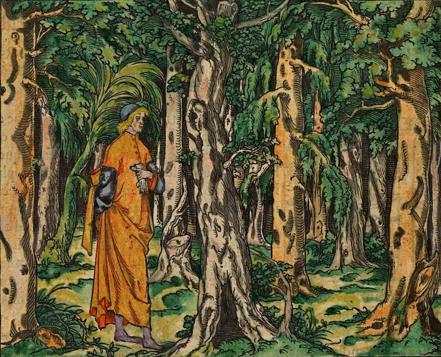 Bunte Zeichnung eines Mannes in einem Wald mit Bäumen.