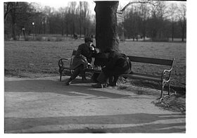  Zwei Männer bei einer Schachpartie auf der Parkbank vor einem Baum
