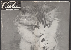 Schwarz-weißes Bild einer Katze, die auf den Hinterbeinen steht.