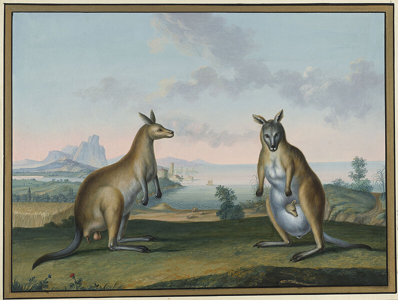 Gemälde von zwei Kängurus, eines mit Baby im Beutel