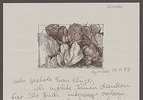 Habgeschriebener Brief mit Rosen am Briefkopf