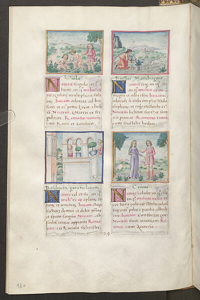 Mittelalterliche Buchseite mit vier Bildchen und Text