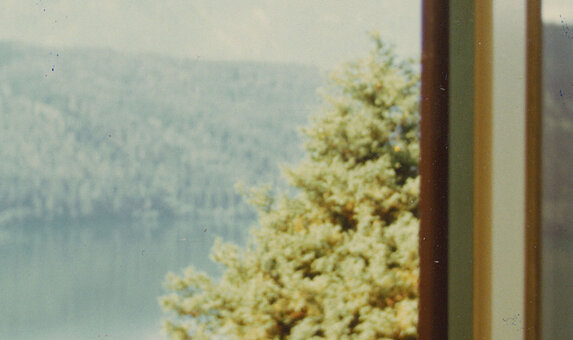 Helles Foto durch ein Fenster auf einen See mit Bergen und Wald.
