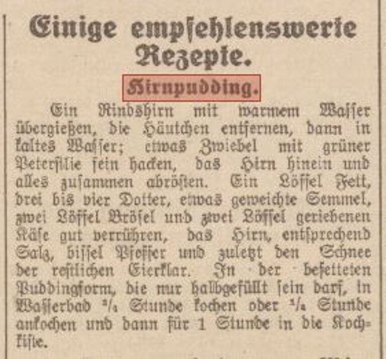 Alter Zeitungsartikel mit rot markiertem Wort "Hirnpudding"