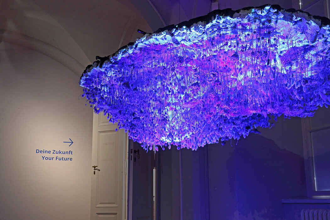 Foto von Leuchtinstallation, die von der Decke hängt: Eine Wiese, lila beleuchtet, kopfüber.