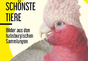 Gelbes Ausstellungsplakat mit rosa Kakadu. 