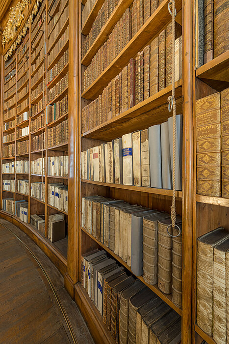Foto von vielen vollen Bücherregalen nebeneinander.