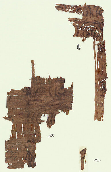 Fragmente eines Stücks Papyrus
