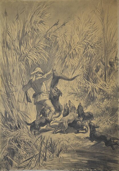 Zeichnung von Mann mit Hunden auf der Jagd im Dickicht