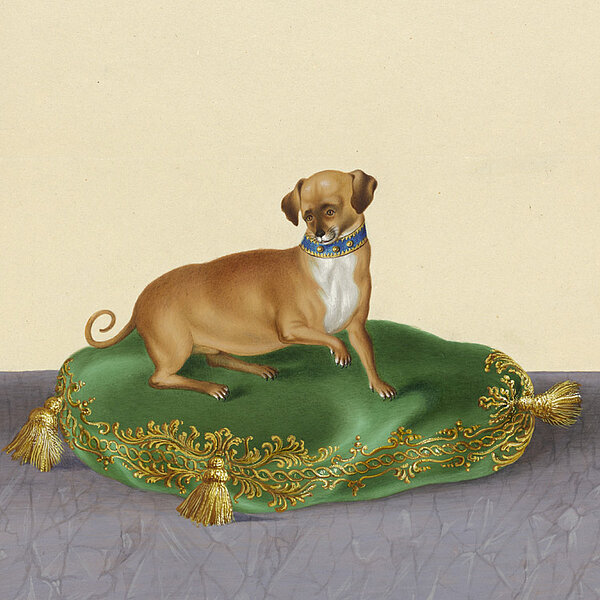 Gemälde von kleinem Hund auf grün-goldenem Kissen