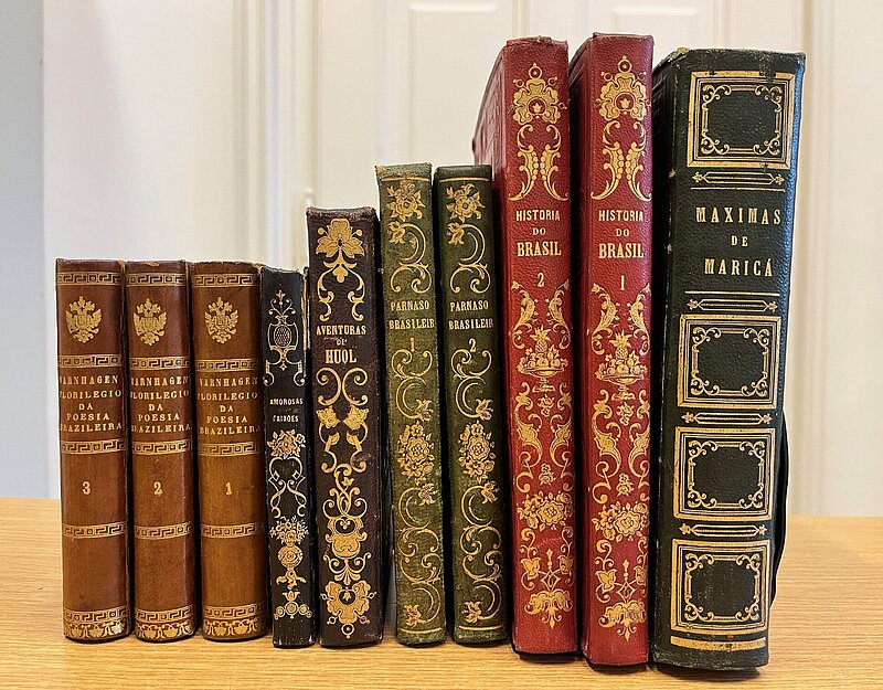 Zehn Bücher nebeneinander der Größe nach aufgereiht, die Einbände haben verschiedene Farben.