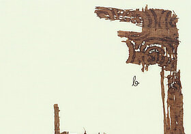 Fragmente eines Stücks Papyrus.