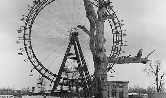 Alte schwarzweiße Aufnahme vom Wiener Riesenrad hinter trostlosem Baum