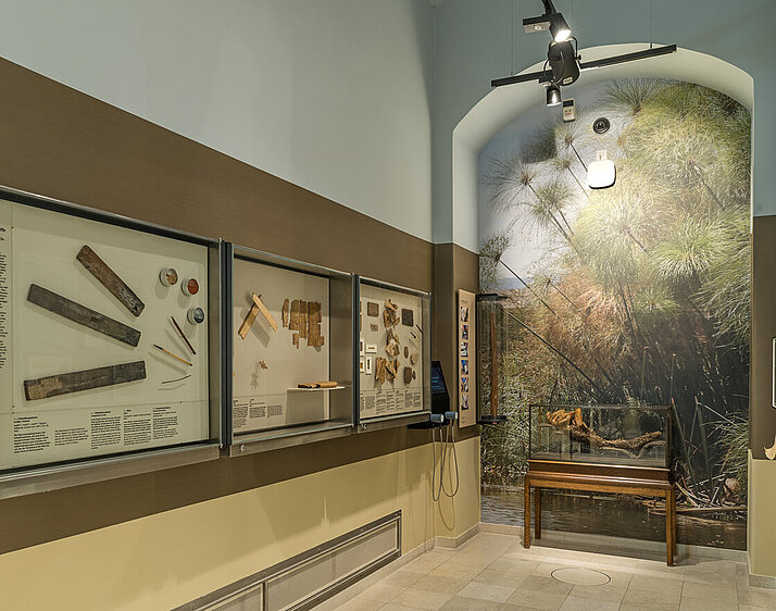 Ausstellungsbereich im Papyrusmuseum: Schreiberutensilien und Papyruswurzel