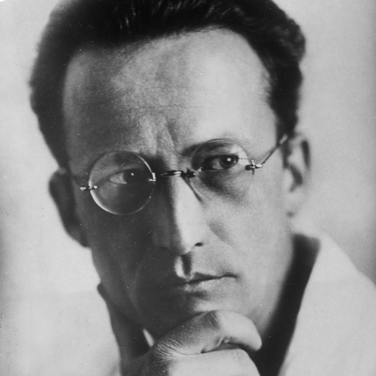 Schwarz-Weiß-Portrait von Erwin Schrödinger