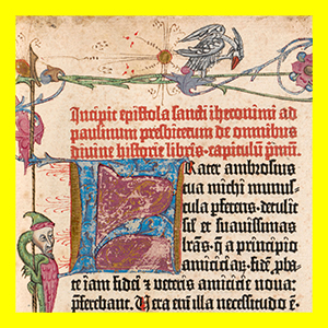 Objekt des Monats Juni, Buchseite Gutenbergbibel