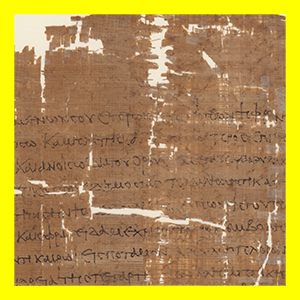 Objekt des Monats Februar, Papyrus