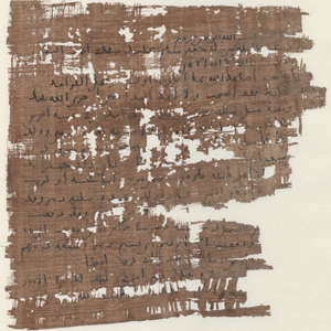 Ein Stück löchriges Papyrus