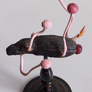 Kleine Skulptur mit länglichem, braunen Ding und rosa Knubbeln